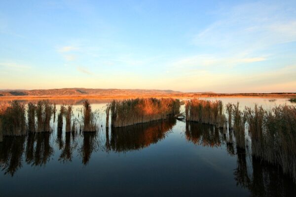 La Laguna de Pitillas