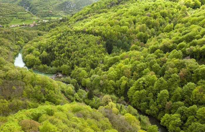 Descubre la selva de Irati