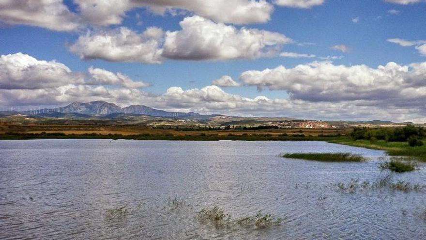 Laguna de las Cañas