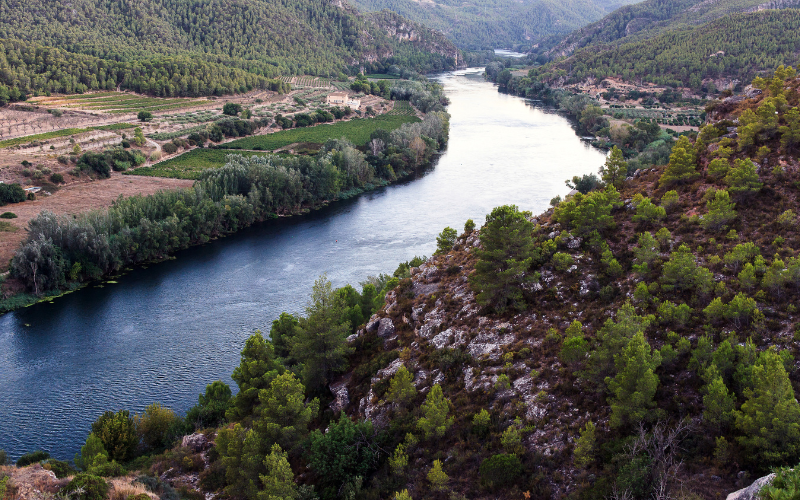 Andosilla y el Camino del Ebro: Una Parada con Historia